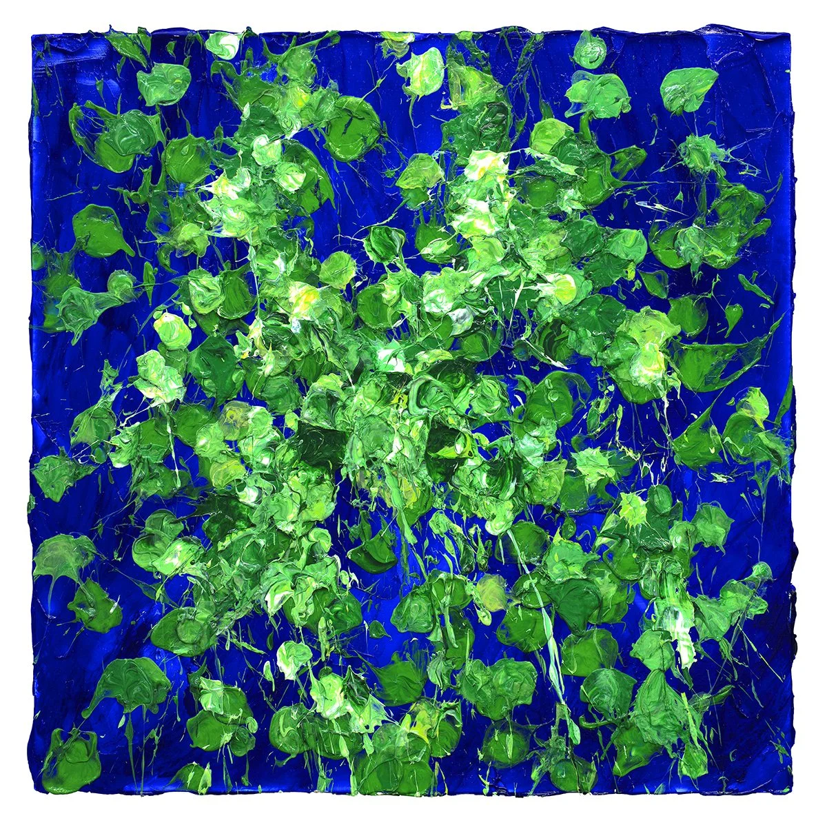 Susan Swartz Studios